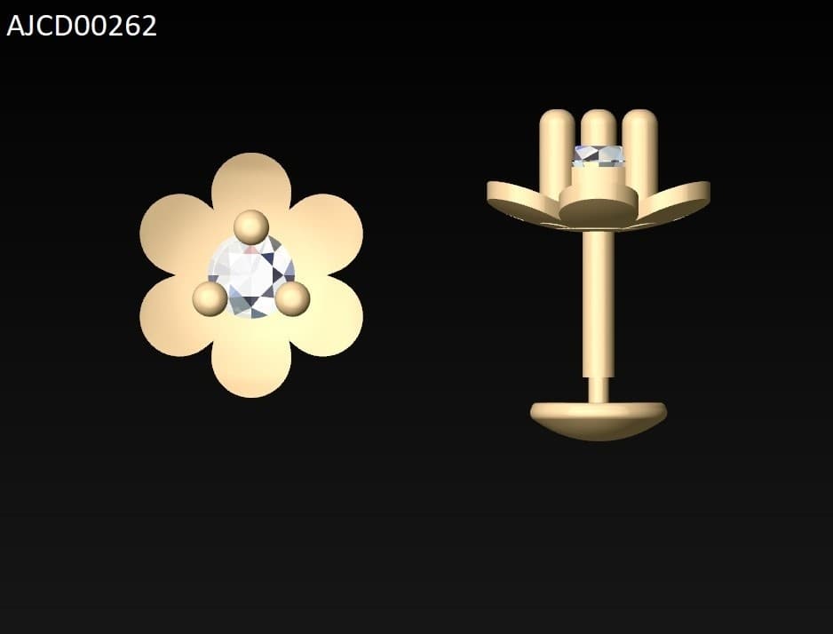 AJCD00262
